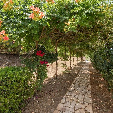 Agallis Corfu Residence Sokrakion Exterior photo